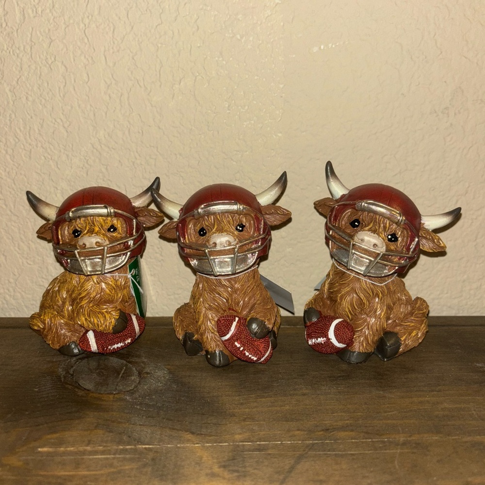 football highland cows